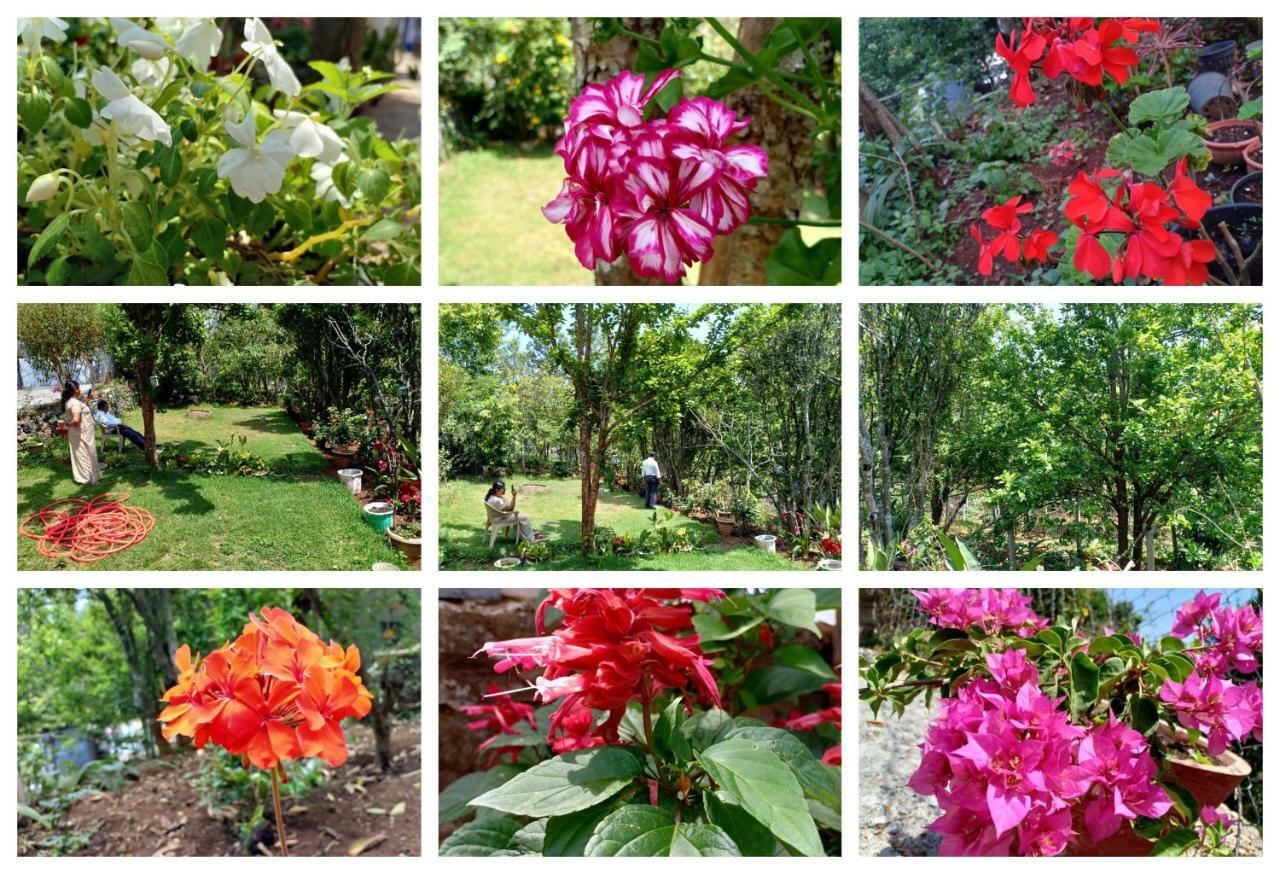 Pear Tree Inn Villa Kotagiri Luaran gambar