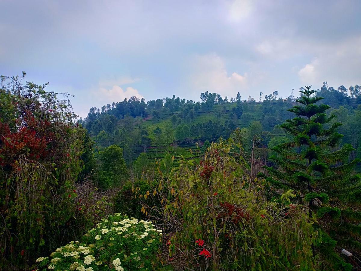 Pear Tree Inn Villa Kotagiri Luaran gambar
