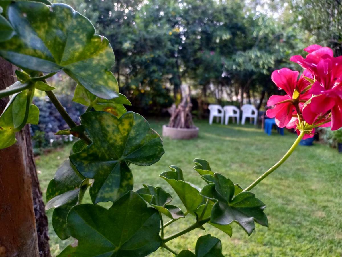 Pear Tree Inn Villa Kotagiri Luaran gambar
